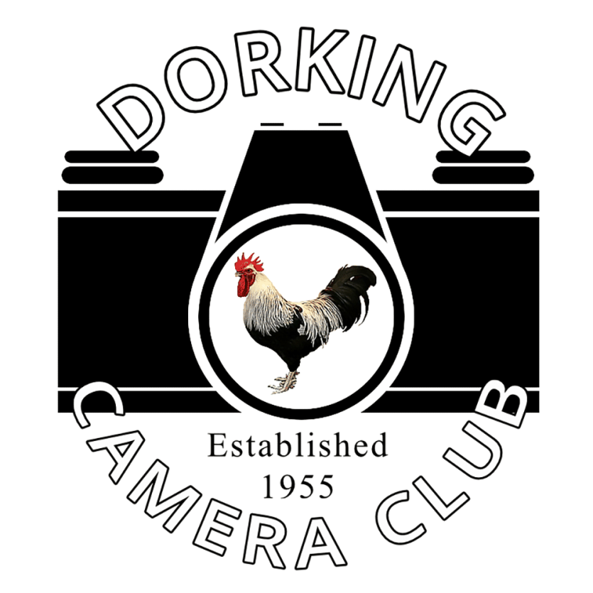 Dorking Camera Club logo