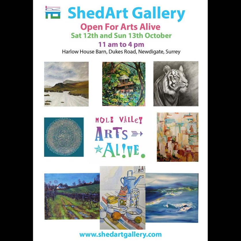 Shed Art promotional flyer feature examples of art